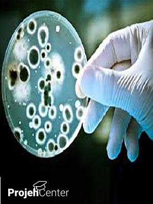 گزارش انجام آزمایشات میکروبیولوژیکی محیطی